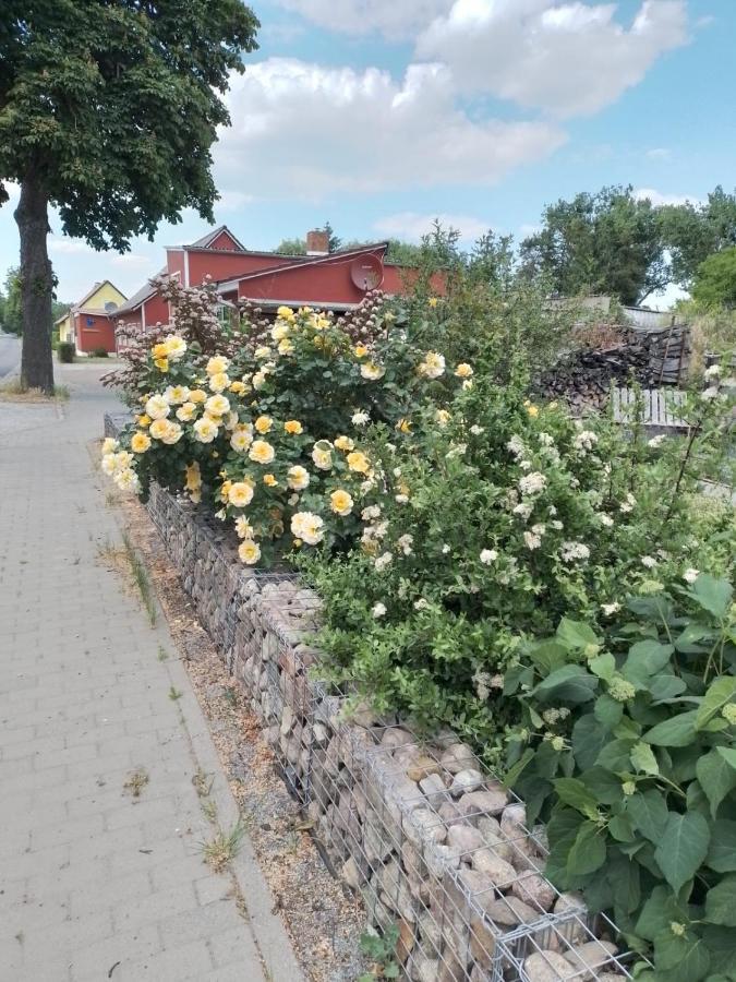 Uckermark "Ferienwohnung Sommerfugl " Passow (Uckermark) Exterior foto